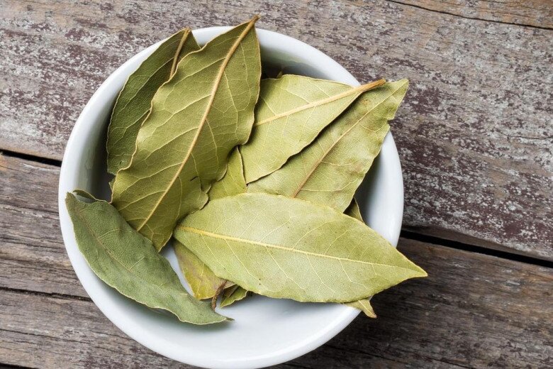 Loại lá thơm amp;#34;3 trong 1amp;#34; được ví như “kim cương”, giá 2 triệu đồng/kg, vào chậu làm bonsai trồng càng lâu càng có giá - 3