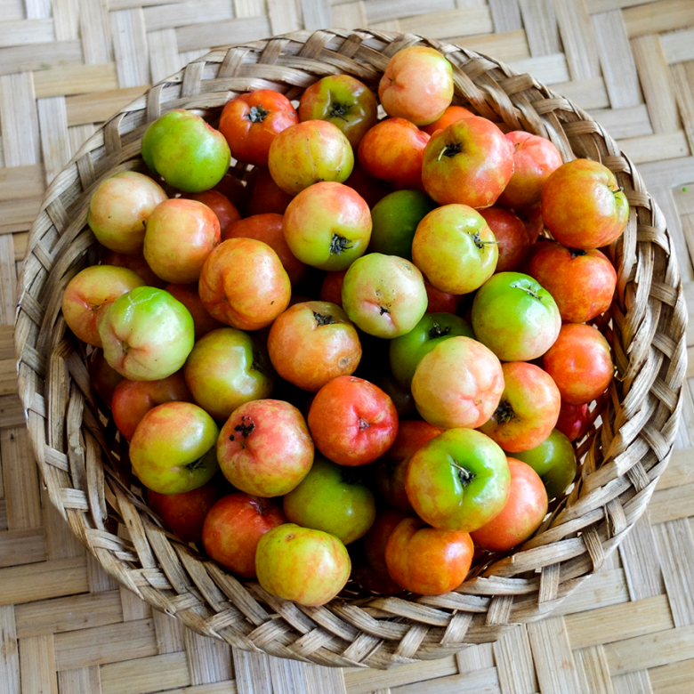 Loại quả đặc sản có ở Đồng Tháp giá 60.000 đồng/kg, trồng một lần ăn nhiều năm, vào chậu làm bonsai giúp hút lộc vào nhà - 3