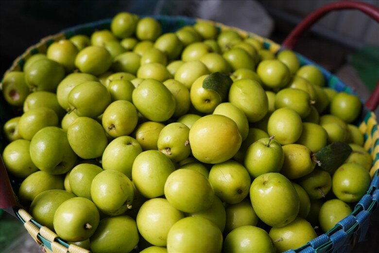 Loại quả lọt top tốt trên thế giới chỉ có ở Hải Phòng, giá 100.000 đồng/kg, càng sai quả tài lộc càng vượng - 2