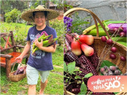 Nhà đẹp - Khu vườn bội thu "khoác màu tím" đẹp mắt của ca sĩ Trọng Tấn tại biệt thự ngoại ô rộng 4.000m2 giữa đồi
