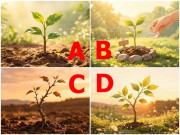 Yêu - Trắc nghiệm: Chọn 1 cây non, biết ngay bạn có khéo giữ lửa hôn nhân hay không