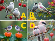 Yêu - Trắc nghiệm: Chọn 1 cặp chim, xem bạn và nửa kia có phải sinh ra để thuộc về nhau