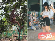 Nhà đẹp - Không nhận ra "Kiều nữ làng hài" khi về quê oanh tạc vườn của mẹ và ngôi nhà giản dị gia đình cô đang sống