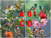 Yêu - Trắc nghiệm: Chọn một bức tranh, biết ngay nửa kia có đáng để bạn gửi gắm cả đời hay không