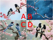 Yêu - Trắc nghiệm: Trong lòng người ấy, bạn là báu vật hay người có cũng được, thiếu cũng chẳng sao?