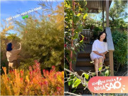 Nhà đẹp - Hồng Đào có thể ngồi ở ngoài vườn cả tiếng và khu vườn tuyệt đẹp giúp cô sống chậm nhẹ nhàng sau biến cố