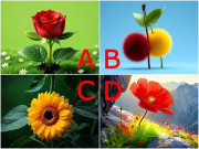Yêu - Trắc nghiệm: Chọn một bức tranh, đoán vị thế của bạn trong gia đình sau khi kết hôn