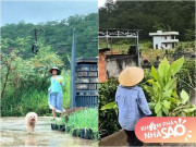 Nhà đẹp - Nữ diễn viên Việt xinh như hoa về quê làm vườn lấm lem không nhận ra, sống trong khu đất 3.000m2 giữa Đà Lạt