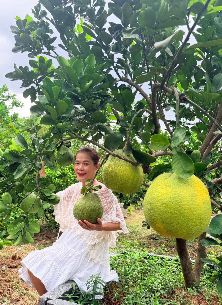 Nữ ca sĩ là Phó chủ tịch tập đoàn nhưng thích làm amp;#34;nông dânamp;#34;, trồng giống quả độc lạ có giá đến 30-40 triệu/cây - 9