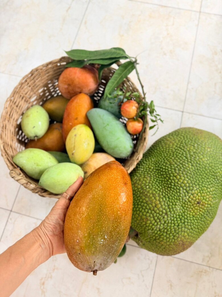 Mẹt mây đong đầy các loại quả nhiệt đới tươi ngon vừa được thu hoạch từ nông trang. Sống hòa mình cùng thiên nhiên chính là bí quyết giúp nữ ca sĩ giữ vững sự trẻ trung và năng lượng tích cực.