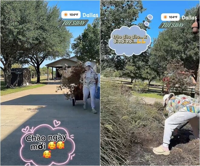 Thời tiết tại Dallas mùa hè vô cùng khắc nghiệt và nắng nóng. Nữ ca sĩ phải mặc trang phục kín đáo, đội mũ, đeo khẩu trang để đào đất, xới đất và vận chuyển cây giống xung quanh vườn nhà.