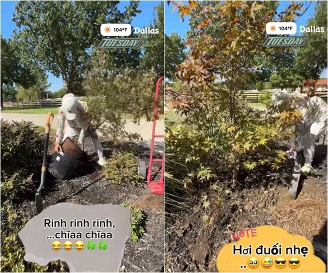 Nhờ sự kiên trì và thói quen làm việc ngoài trời, Hồng Ngọc thành thạo mọi thao tác trồng trọt từ bê chậu, bới đất đến cố định gốc cây. Cô ưu tiên chọn các loại cây chịu nhiệt tốt và cho bóng mát như lá phong hay chanh vàng.