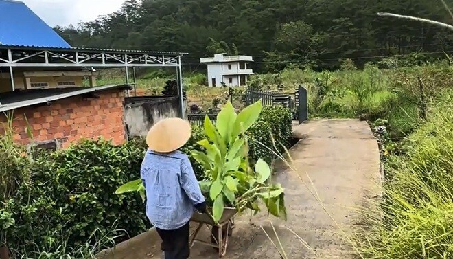 Oanh Kiều đẩy từng chuyến xe đất và cây trồng trên con đường nhỏ dẫn vào nhà. Công việc làm vườn như một hình thức rèn luyện sức khỏe và giải tỏa áp lực công việc cho nữ diễn viên. Sự chủ động, tháo vát giúp cô quản lý tốt góc vườn nhỏ của riêng mình.