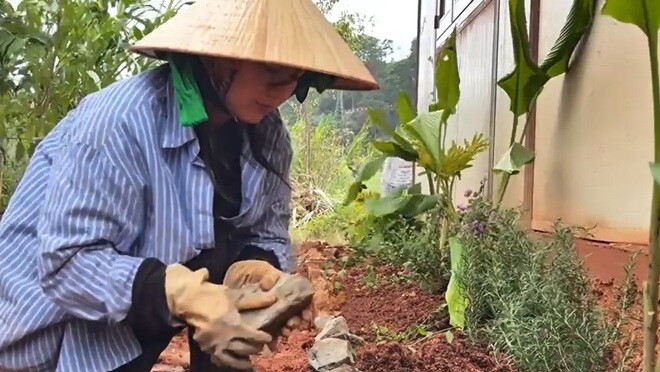 Cô miệt mài với đất đá, vun gốc cho từng bụi hoa, cây cảnh quanh căn nhà giản dị. Nữ diễn viên thuộc lòng các bước làm nông từ xử lý đất tơi xốp đến ủ phân hữu cơ. Sự cẩn trọng trong từng công đoạn giúp cây trồng phát triển khỏe mạnh, hạn chế sâu bệnh.