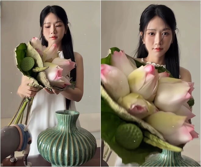 Lê Bống lựa chọn những bông sen bách diệp hồng bản lớn cùng đài sen tươi mộc mạc để chuẩn bị thực hiện. Cô khéo léo ướm thử độ cao thấp và độ xòe tự nhiên của bó hoa bên cạnh chiếc bình gốm rạn màu xanh ngọc bích có thiết kế dáng khum cổ ngỗng vô cùng sang trọng, cổ điển.
