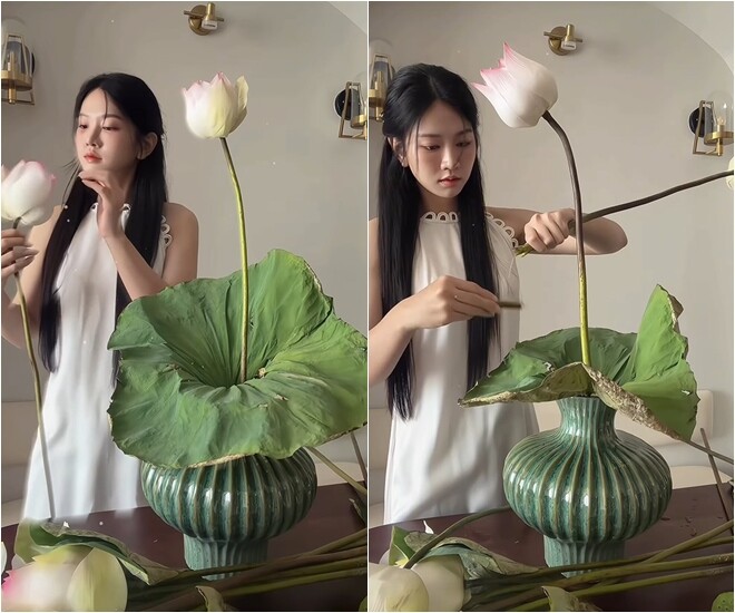 Sau khi đã có trục dọc cố định, Lê Bống tiến hành đo đạc độ dài và dùng tay bẻ cành sen thứ hai. Bông sen này được đặt đối trọng, tạo độ nghiêng mềm mại giúp tổng thể bình hoa bắt đầu có chiều sâu và sự phân tầng nhịp nhàng.
