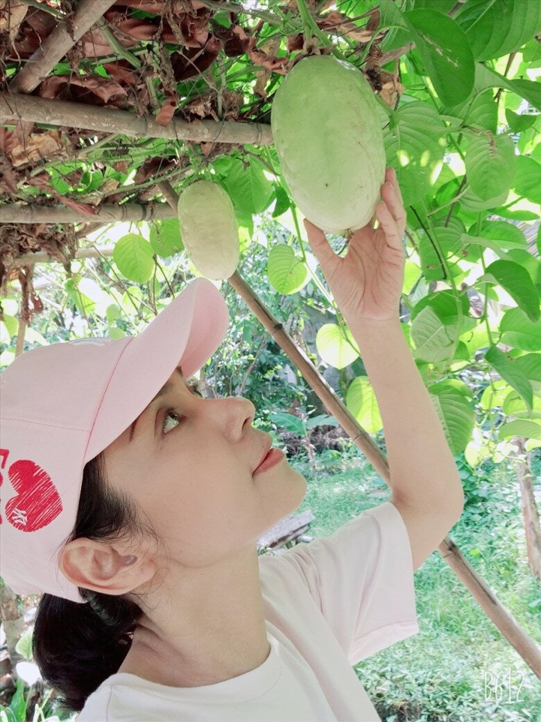 Trong khu vườn của mình, người đẹp phủ xanh không gian bằng hàng loạt cây ăn trái quen thuộc như khế, xoài thanh ca, sơ ri, mít, thanh trà, nhãn hay vú sữa...