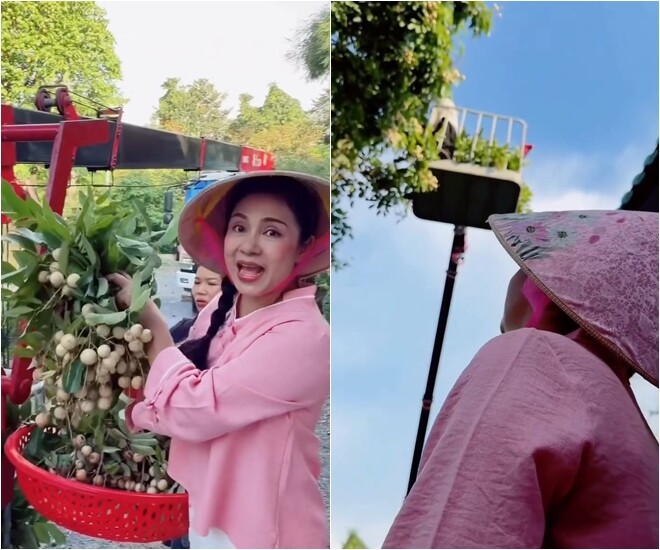 Cận cảnh chùm nhãn chín mọng, vỏ mỏng, trái to tròn đều làm nữ diễn viên vô cùng thích thú. Nữ diễn viên vơ trọn chùm nhãn to ngập tràn trong rổ nhựa đỏ.