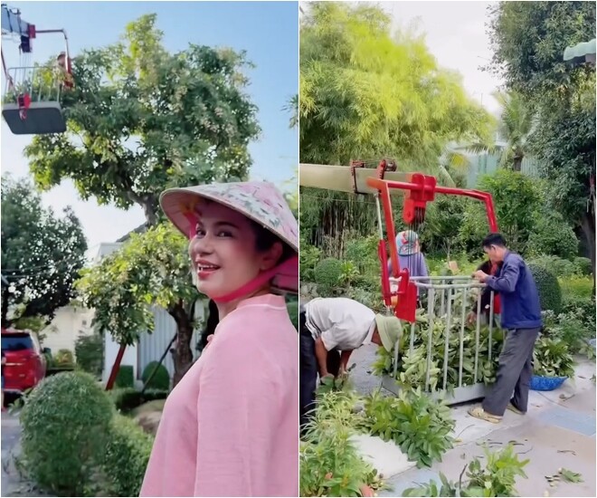 Cô liên tục ngước nhìn lên cao theo dõi quá trình hái nhãn và xuýt xoa tuyệt vời trước năng suất vượt trội của cây. Các thành viên trong gia đình cùng chung tay thu gom, phân loại nhãn ngay khi lồng cẩu hạ xuống.