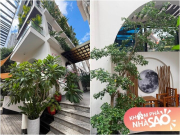 Nhà đẹp - Mãn nhãn khu vườn xanh mướt bên trong cơ ngơi 1.000m2 của nữ diễn viên 4 con nổi tiếng showbiz Việt