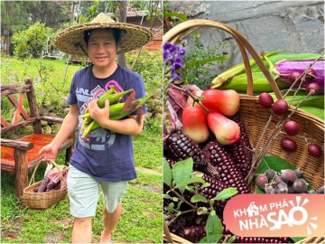 Khu vườn bội thu "khoác màu tím" đẹp mắt của ca sĩ Trọng Tấn tại biệt thự ngoại ô rộng 4.000m2 giữa đồi