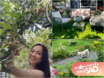 Cô gái "chân dài như Hà Hồ, hát như Mỹ Tâm" khoe vườn rộng đẹp thênh thang làm nhiều người mơ ước, trái trĩu cành