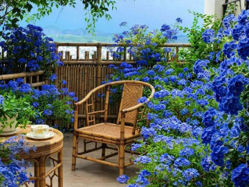 Nhà đẹp - 4 cây cảnh tứ đại mỹ nhân, tựa cỗ máy nở hoa, biến ban công thành trạm sạc hạnh phúc mỗi ngày