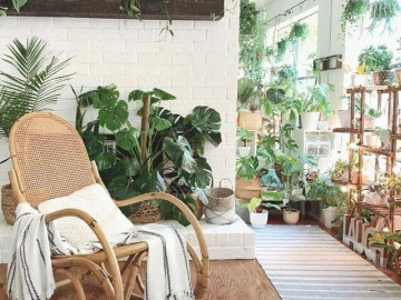 10 cây cảnh là "khắc tinh" của muỗi, kiến, gián, trồng một chậu nhà đẹp, côn trùng tự động tránh xa