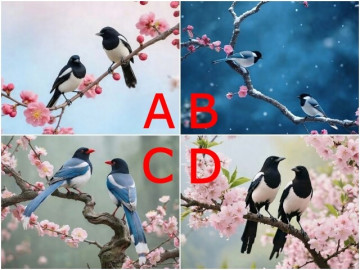 Trắc nghiệm: Trong lòng người ấy, bạn là báu vật hay người có cũng được, thiếu cũng chẳng sao?