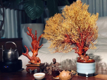 Xua tan năng lượng xấu "tháng cô hồn" với top 7 vật phẩm phong thủy này cho không gian sống