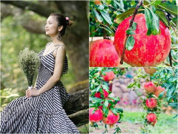 Khu vườn của diễn viên Diệu Hương ở Mỹ có "hoa hậu" ngắm hoài không chán, chủ nhân mê mẩn: "Sao đẹp quá!"