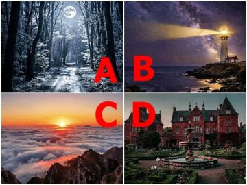 Yêu - Trắc nghiệm: Chọn 1 bức tranh, biết ngay kiểu người nào phù hợp với bạn, có thể cùng bạn đi đường dài