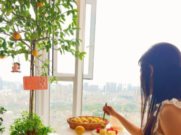 Nhà đẹp - Lời khuyên cho gia đình trồng cây chanh vàng: Người thuộc 2 mệnh này nên cân nhắc, muốn cây sai quả đừng bỏ qua điều này