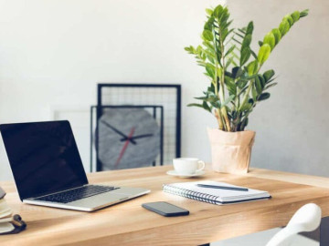 Nhà đẹp - Những cây cảnh phong thủy nên trồng trong phòng làm việc, có tác dụng hút bức xạ wifi giúp tăng tuổi thọ