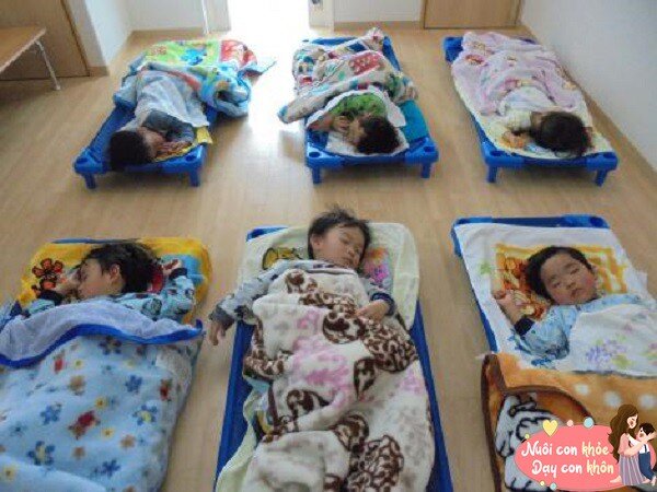 Trẻ có thói quen ngủ trưa đem lại nhiều lợi ích rõ ràng về mặt tâm lý, thể chất và trí tuệ.