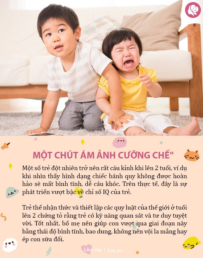 8 tín hiệu trẻ có IQ cao, nếu hơn 3 xin chúc mừng, trí thông minh của bé cao hơn hẳn bạn bè - 3