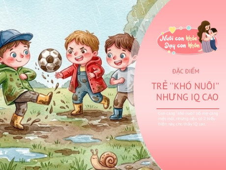 Trẻ “khó nuôi” thường khiến bố mẹ đau đầu, nhưng 2 đặc điểm này hé lộ con có IQ cao