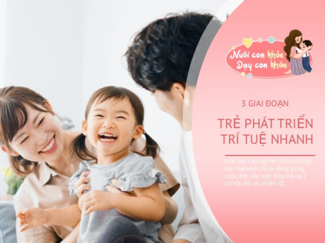 Giáo sư Harvard: Trẻ có 3 cơ hội trở nên thông minh trong đời, đừng bỏ lỡ