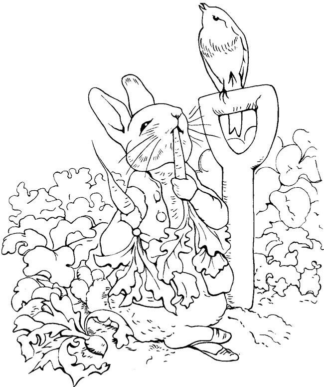 Tranh tô màu Peter Rabbit cho bé mầm non, vừa chơi vui, vừa phát huy trí tưởng tượng - 8