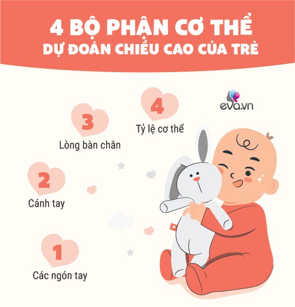 Trẻ có 4 bộ phận này dài hơn bình thường, lớn lên có thể đạt chiều cao trên 1m7 - 3