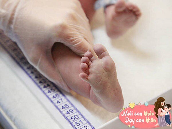 Một người cao lớn cần có bàn chân to tương đương để hỗ trợ giữ thăng bằng. Do đó chiều dài bàn chân có liên quan mật thiết và tỉ lệ thuận với chiều cao cơ thể. 