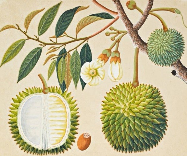 Ảnh minh hoạ.