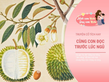 Truyện cổ tích: Sự tích quả sầu riêng