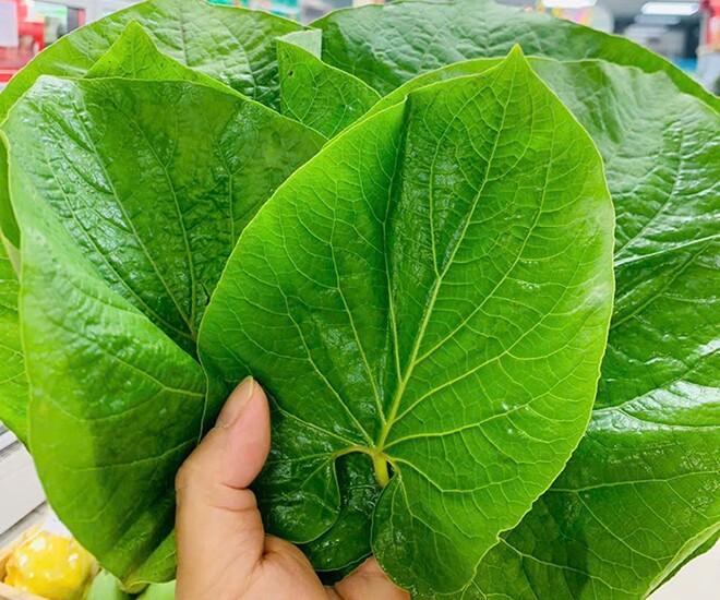 Cây dại mọc bờ rào nay thành đặc sản nổi tiếng, trồng 3 tháng cho thu hoạch, giá 150.000 đồng/kg được ưa chuộng ở thành phố - 1