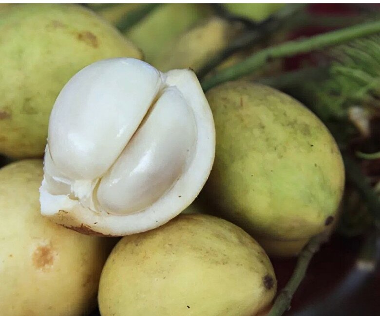Loại quả đặc sản Cần Thơ xưa chín rụng đầy nay bán 40.000 đ/kg, trồng một lần thu hoạch nhiều năm, du khách thích mê - 3
