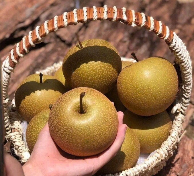 Loại quả tốt trên thế giới, Việt Nam trồng bạt ngàn thu hoạch nhiều năm bán giá rẻ, tốt cho sức khỏe - 2