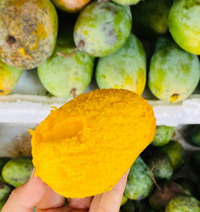 Loại quả xưa chín rụng đầy, nay thành đặc sản được ưa chuộng giá 40.000 đ/kg, trồng một lần thu hoạch nhiều năm - 2