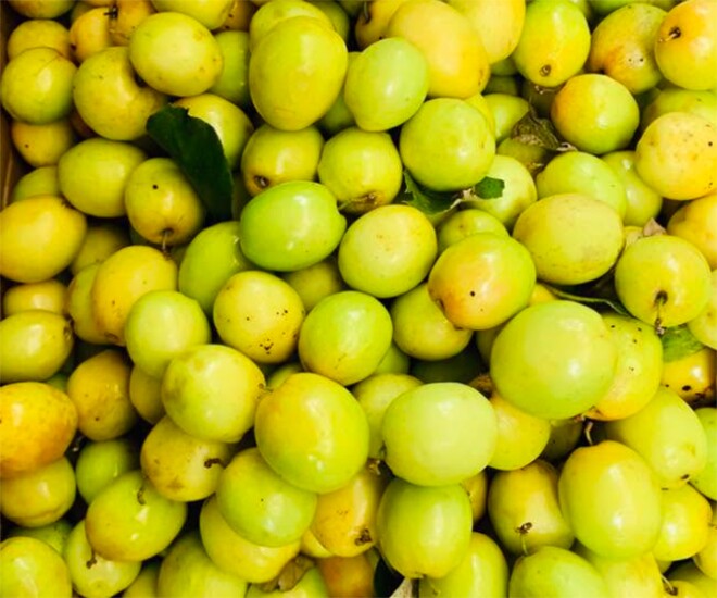 Loại quả mọc bờ rào xưa chín rụng đầy nay bán 70.000 đ/kg, thành đặc sản tốt cho sức khỏe, trồng một lần thu hoạch nhiều năm - 1