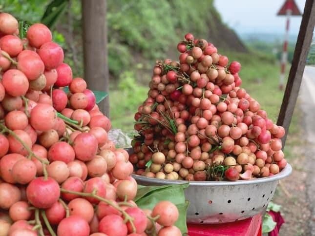 Loại quả xưa chín rụng đầy gốc, nay thành đặc sản được ưa chuộng giá 55.000 đ/kg, trồng một lần thu hoạch nhiều năm - 2