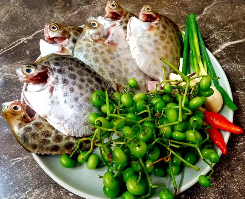 Loại quả mọc bờ rào xưa chín rụng chỉ dành cho amp;#34;người nghèoamp;#34;, nay thành đặc sản giá 65.000 đ/kg, trồng một lần thu hoạch nhiều năm - 4